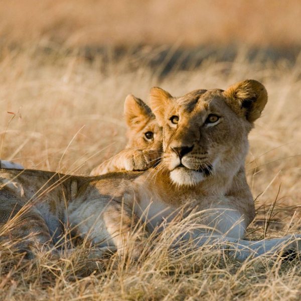 Visit Tanzania with Summerwinter Africa Adventures