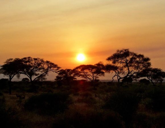 How Many Days Should I Spend in Serengeti National Park?