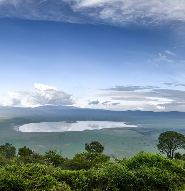 The best 5 Days Tanzania wildlife Safari 2025/2026