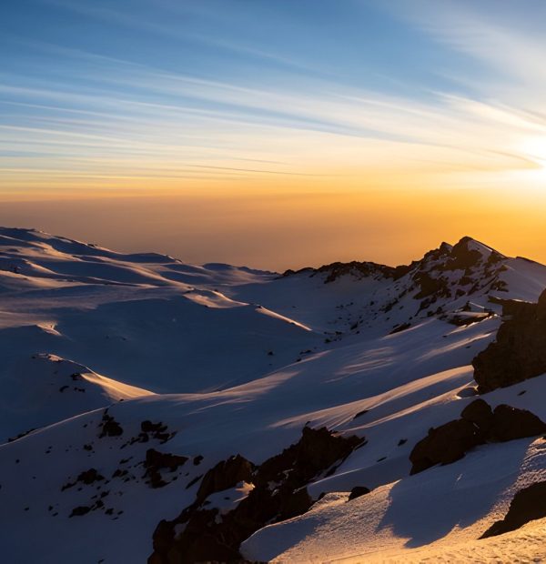 The best 8 Days Rongai Route – Kilimanjaro Climbing 2025/2026