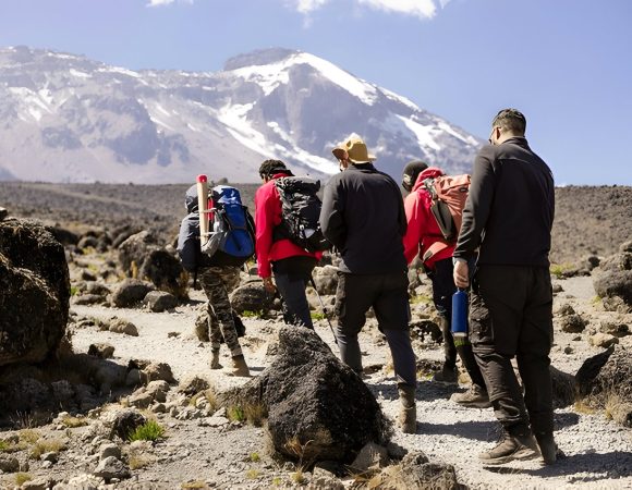 The best 9 Days Lemosho–Shira Route Kilimanjaro Climbing 2025/2026