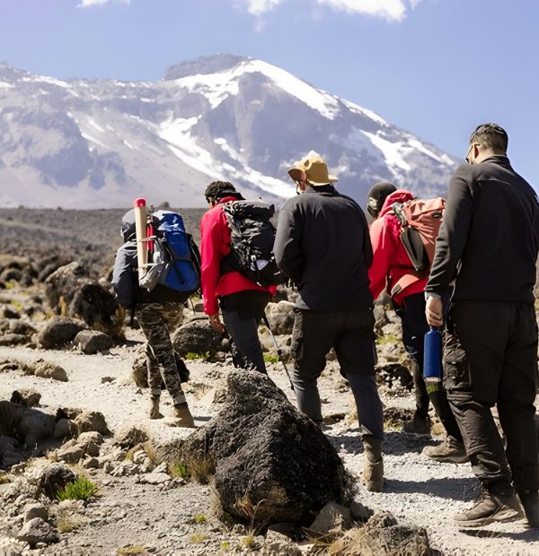 The best 9 Days Lemosho–Shira Route Kilimanjaro Climbing 2025/2026