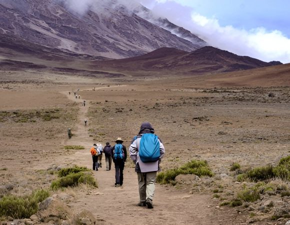 The best 6 Days Machame Route in 2025/2026