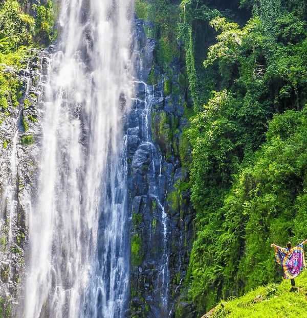 The best 1 day Materuni Waterfalls & Cofee Tour 2025/2026