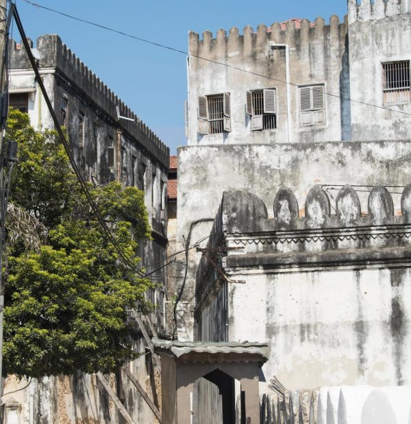 The best 12 Days Honeymoon – Zanzibar 2025/2026