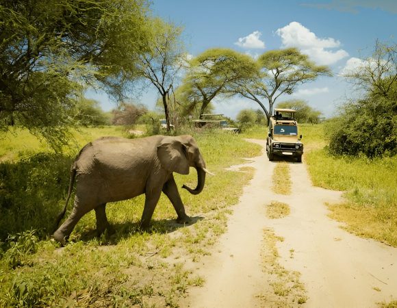 Best Time to Visit Tanzania with Summerwinter Africa Adventures