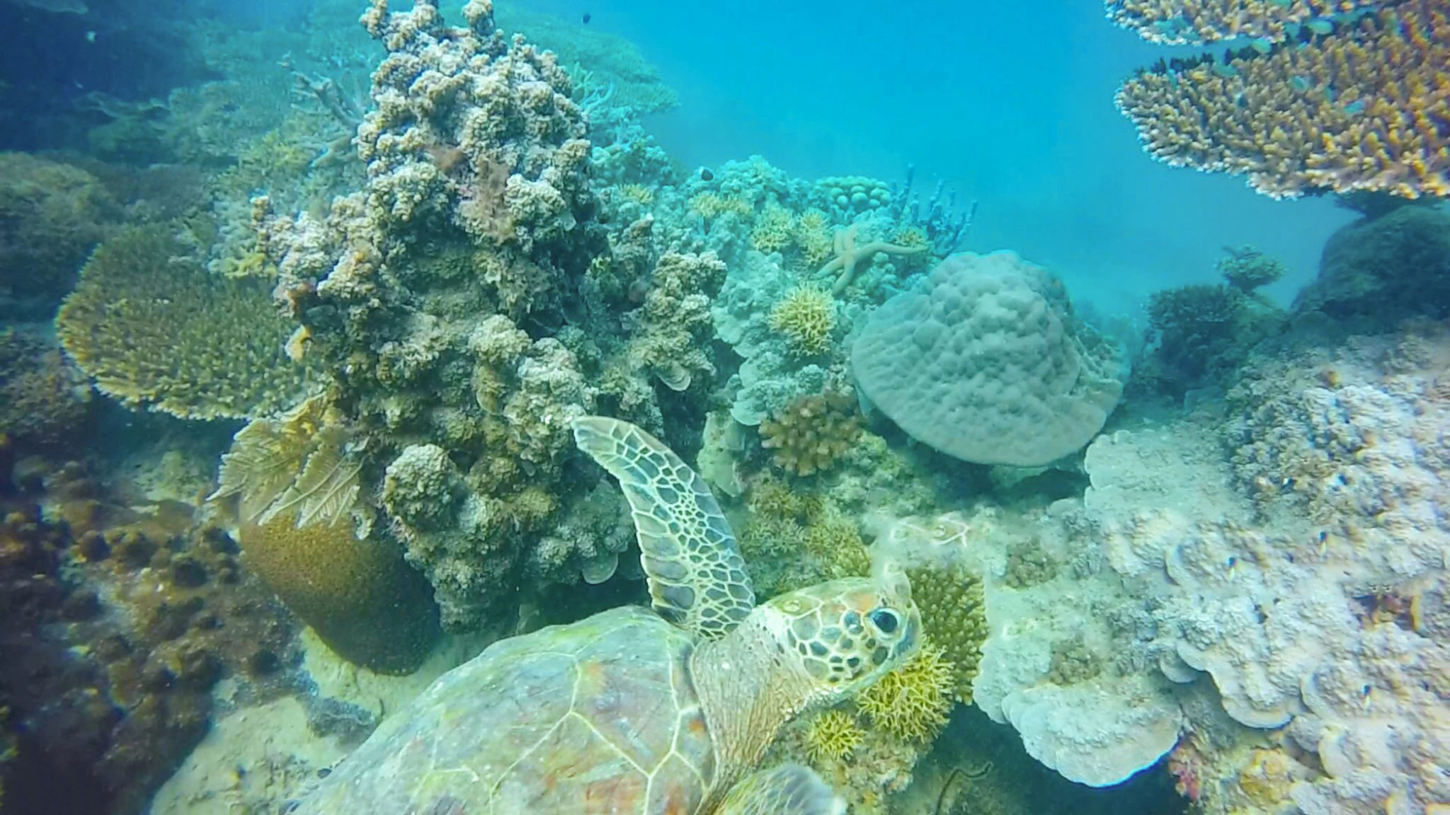 Zanzibar sea excursion