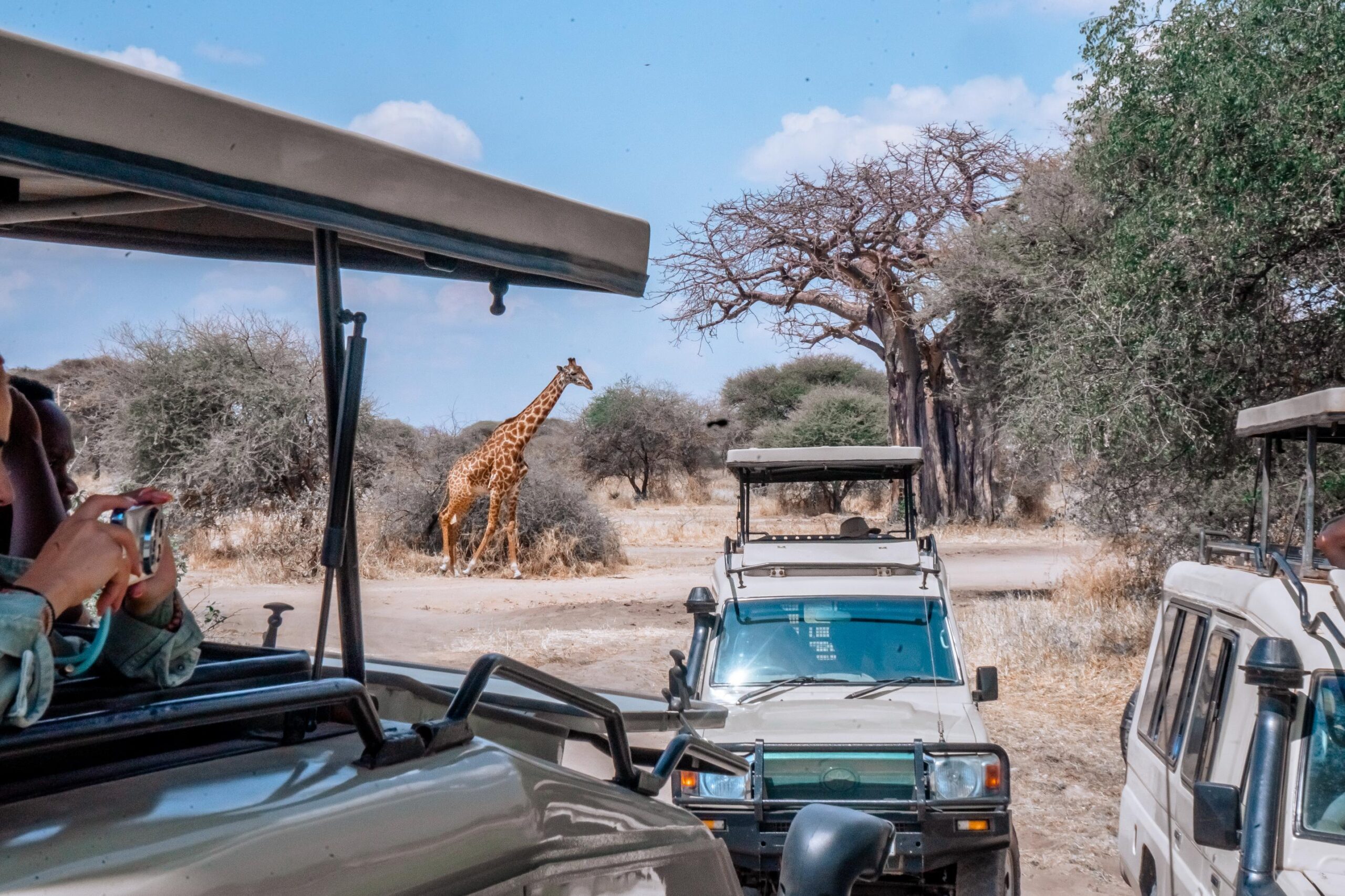 9-Day Tanzania Photographic Safari