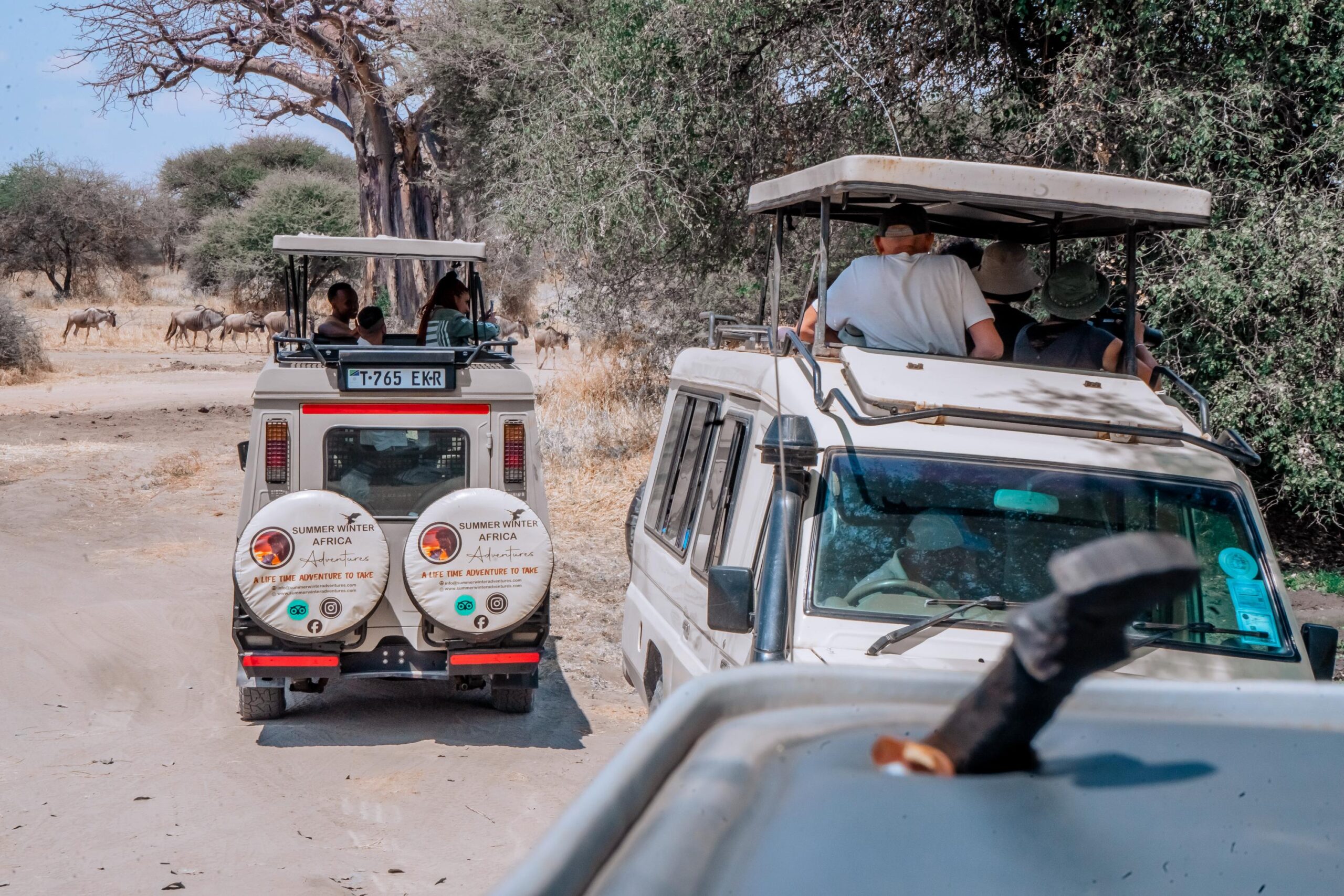 Exploring Tanzania with Summer Winter Adventures