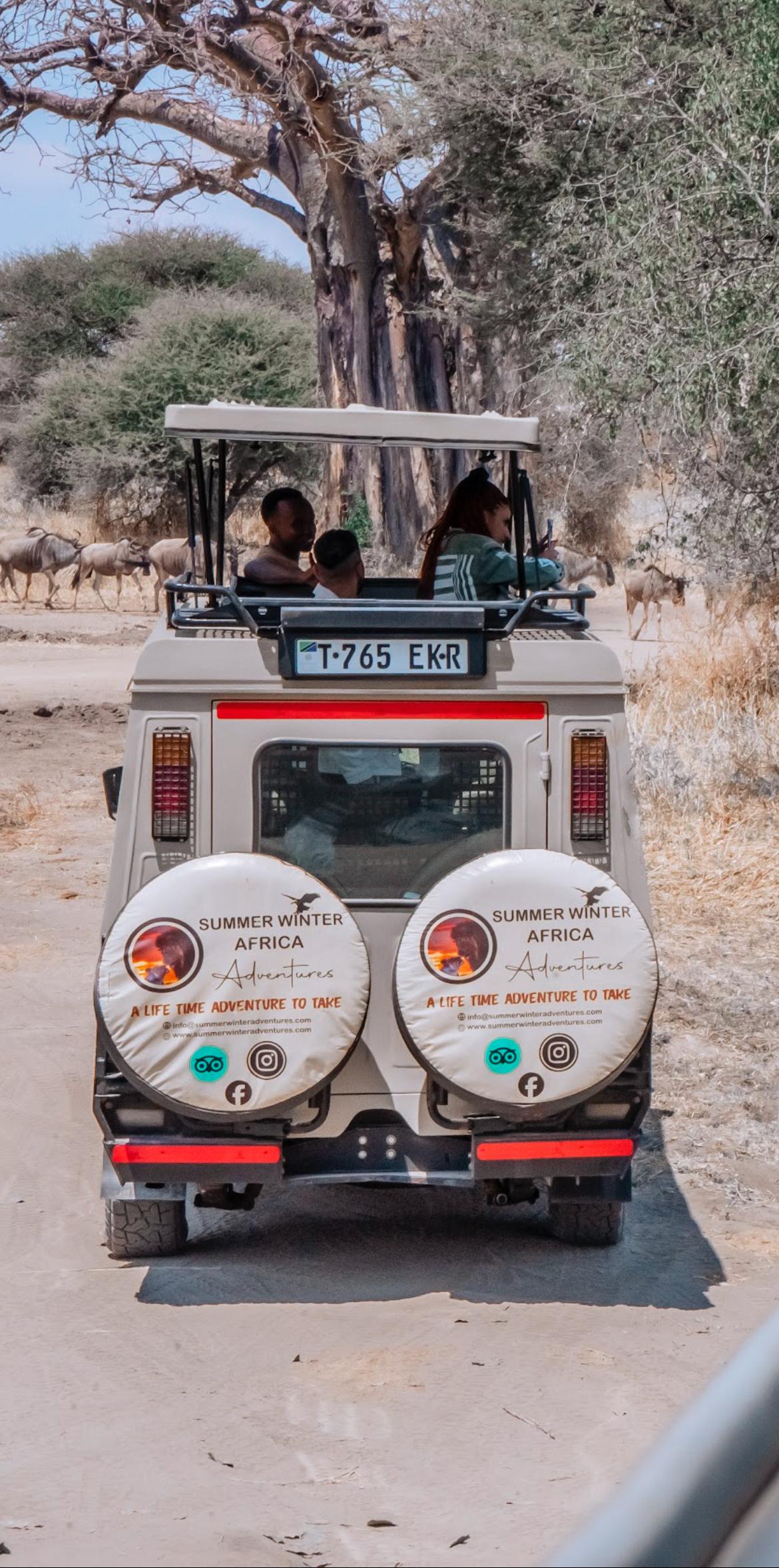 Summer Winter Adventures