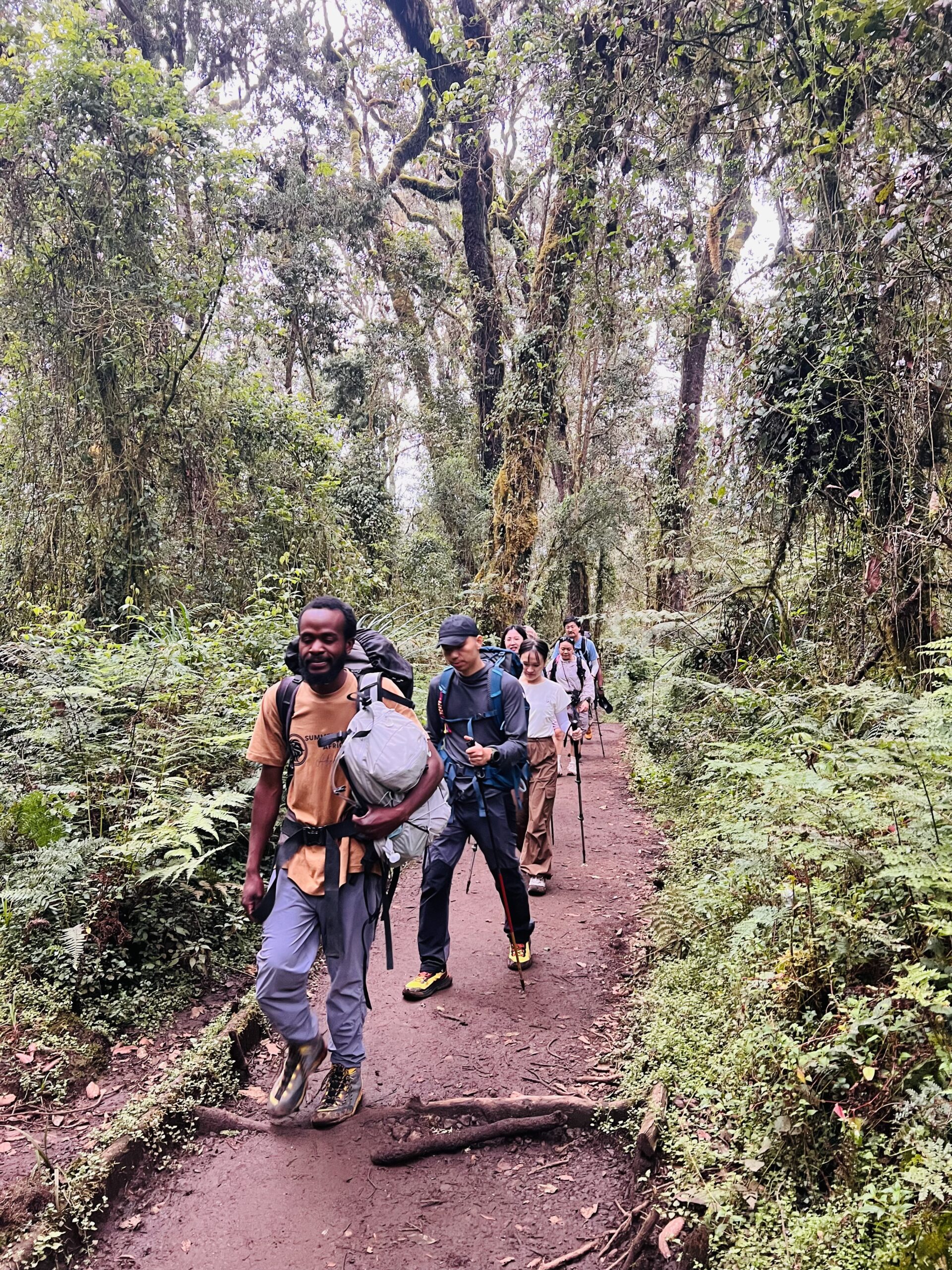 Best Ultimate 6 Days Marangu Route Kilimanjaro Climbing 2027, 2028 & 2029