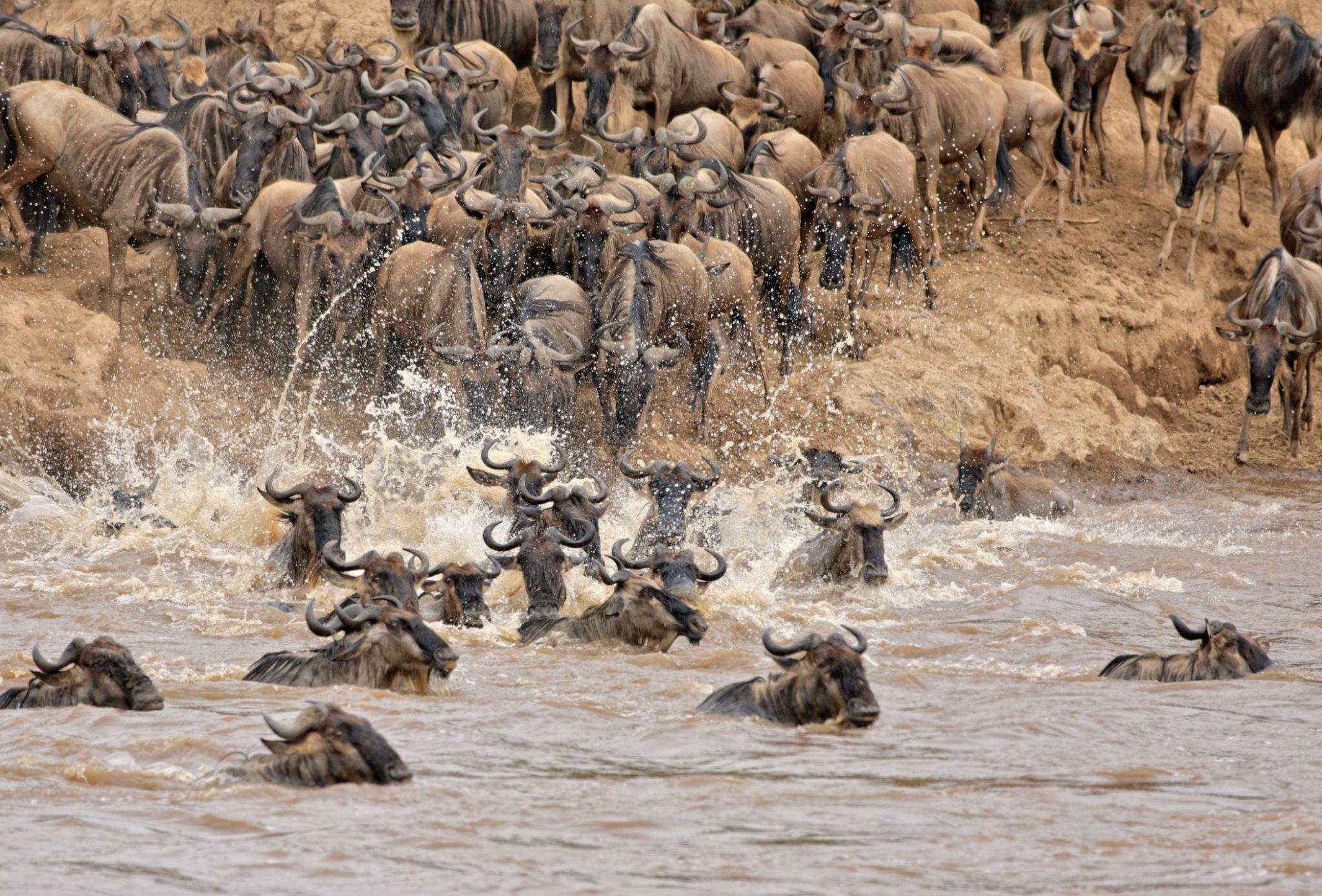 Best Ultimate 6 Days Serengeti Migration Safari 2027, 2028 & 2029​