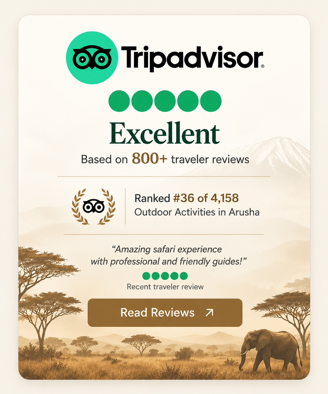 Tripadvisor promotional traveller review card for Summer Winter Adventures