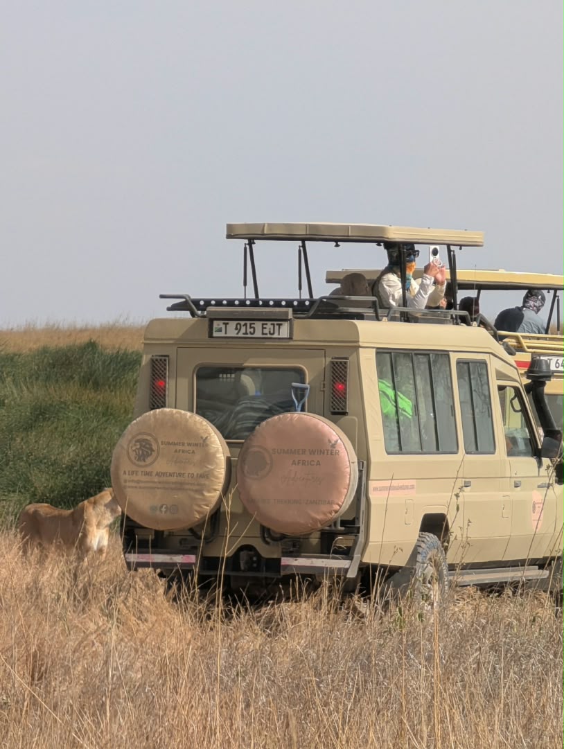 Tanzania safari travel planning with Summer Winter Adventures