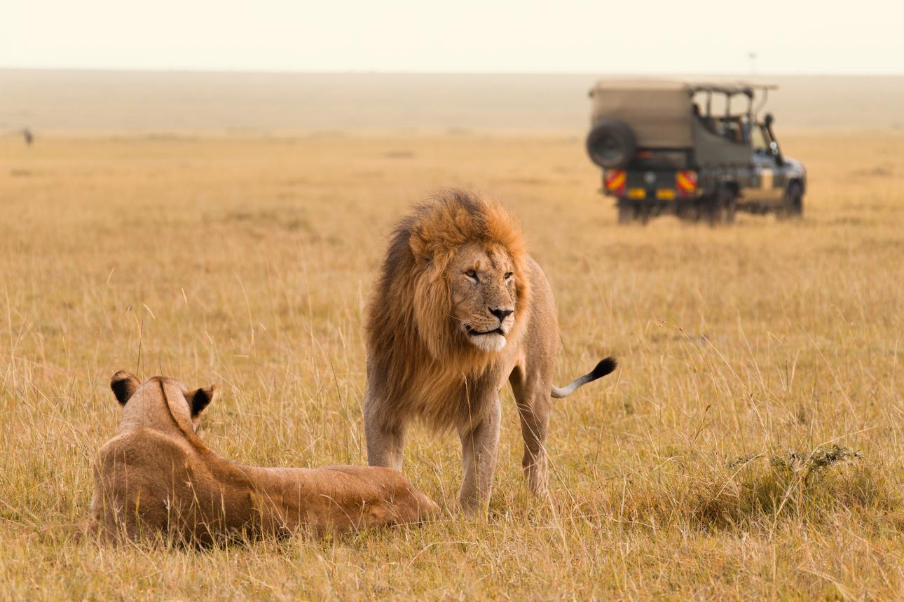 Best Ultimate 5 Days Tanzania Safari 2027, 2028 & 2029