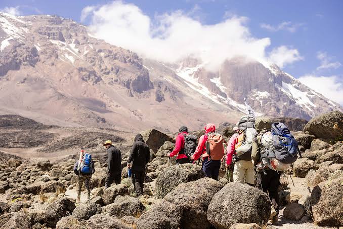 Mount Kilimanjaro trekking landscape