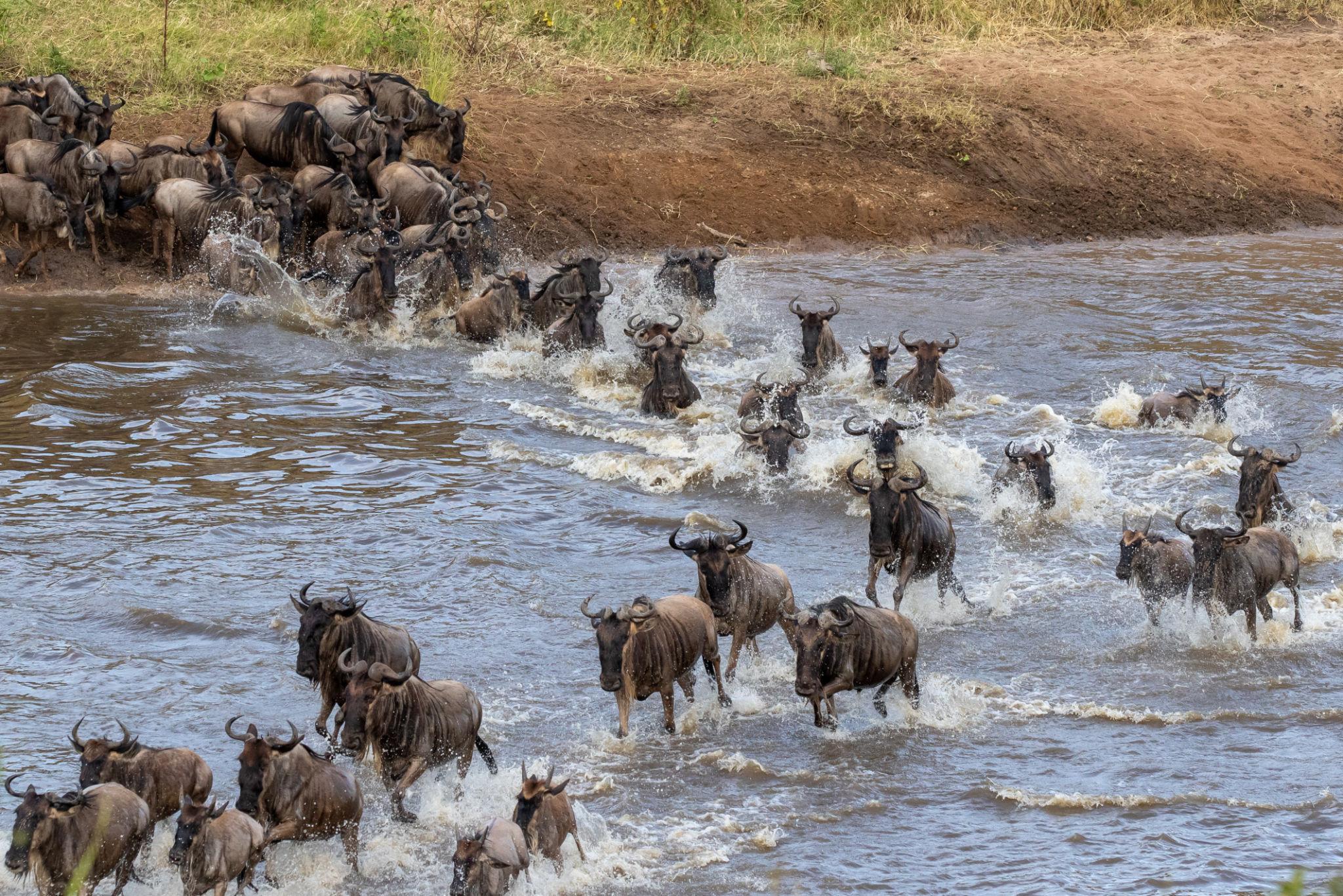 Best Ultimate 3 Days Serengeti Safari 2027, 2028 & 2029